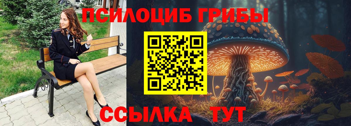 Дубна  Псилоцибиновые грибы Psilocybine cubensis  Галлюциногенные грибы Psilocybe  Вход с VPN 